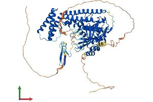 Protein Structure (PS) image for PDX1 C-terminal Inhibiting Factor 1 (PCIF1) (AA 1-704) protein (His tag) (ABIN7550624)