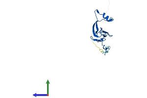 Protein Structure (PS) image for Mitochondrial Ribosomal Protein L27 (MRPL27) (AA 1-148) protein (His tag) (ABIN7551456)