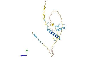 Protein Structure (PS) image for Kinesin Associated Protein 3 (KIFAP3) (AA 1-181) protein (His tag) (ABIN7556197)
