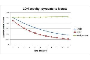 Bioactivity measured with Activity Assay