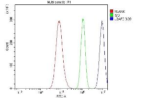 Flow Cytometry analysis of A549 cells using anti- U2AF65/U2AF2 antibody (ABIN7600795). (U2AF2 抗体  (AA 238-470))
