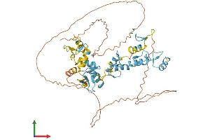 Protein Structure (PS) image for Zinc Finger Protein 639 (ZNF639) (AA 1-485) protein (His tag) (ABIN7545482)