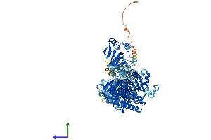 Protein Structure (PS) image for ATPase, Na+/K+ Transporting, alpha 4 Polypeptide (ATP1A4) (AA 1-1032) protein (His tag) (ABIN7565227)