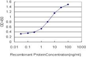 Detection limit for recombinant GST tagged YAP1 is approximately 0. (YAP1 抗体  (AA 53-161))
