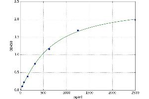 F-Box Protein 32 (FBXO32) ELISA Kit