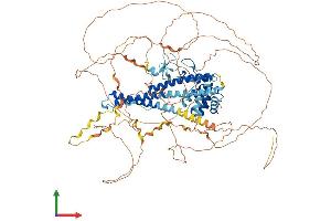 Protein Structure (PS) image for MICAL-Like 1 (MICALL1) (AA 1-863) protein (His tag) (ABIN7554560)