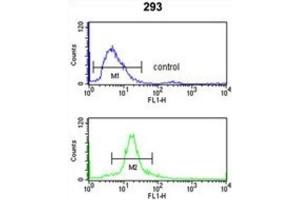 Flow Cytometry (FACS) image for anti-Sjogren Syndrome Antigen B (SSB) antibody (ABIN3001636) (SSB 抗体)