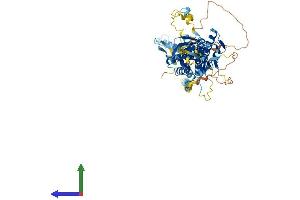 Protein Structure (PS) image for Mediator Complex Subunit 17 (MED17) (AA 1-649) protein (His tag) (ABIN7564728)