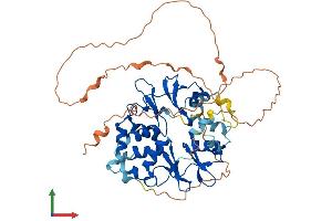 Protein Structure (PS) image for Protein Kinase, AMP-Activated, gamma 3 Non-Catalytic Subunit (PRKAG3) (AA 1-489) protein (His tag) (ABIN7551917)