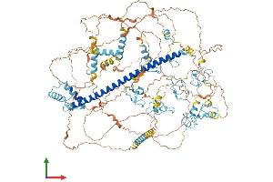 AlphaFold protein structure predicition of Mouse Recombinant Myt1 Protein, UniprotID Q8CFC2