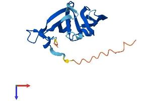 AlphaFold protein structure predicition of Human Recombinant FAM72A Protein, UniprotID Q5TYM5