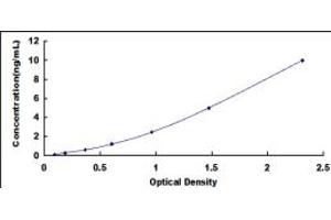 Typical standard curve (ERCC5 ELISA 试剂盒)