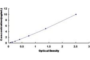 Typical standard curve (Serotonin Receptor 4 ELISA 试剂盒)