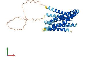 Protein Structure (PS) image for Solute Carrier Family 39 (Zinc Transporter), Member 3 (SLC39A3) (AA 1-317) protein (His tag) (ABIN7560331)