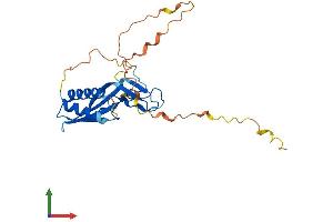Protein Structure (PS) image for Receptor (Chemosensory) Transporter Protein 4 (RTP4) (AA 1-249) protein (His tag) (ABIN7561424)