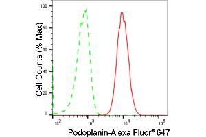 Flow cytometric analysis of Podoplanin expression in HAP-1 cells using Podoplanin antibody (ABIN7799861), 1:2,000). (Recombinant Podoplanin 抗体)