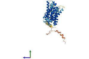 Protein Structure (PS) image for Solute Carrier Family 35, Member F2 (SLC35F2) (AA 1-374) protein (His tag) (ABIN7551625)