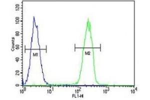 Flow Cytometry (FACS) image for anti-Caspase 5, Apoptosis-Related Cysteine Peptidase (CASP5) (AA 162-191) antibody (ABIN3030309)