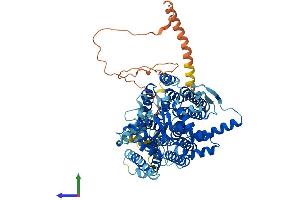 Protein Structure (PS) image for Dpy-19-Like 2 (DPY19L2) (AA 1-773) protein (His tag) (ABIN7562815)