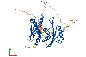 Protein Structure (PS) image for Impact Homolog (IMPACT) (AA 1-320) protein (His tag) (ABIN7554184)