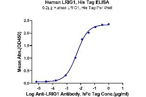ELISA image for Leucine-Rich Repeats and Immunoglobulin-Like Domains 1 (Lrig1) (AA 35-779) protein (His tag) (ABIN7275205)