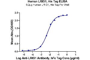 Immobilized Human LRIG1, His Tag at 2 μg/mL (100 μL/well) on the plate. (Lrig1 Protein (AA 35-779) (His tag))