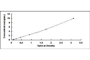 Typical standard curve (Paralemmin ELISA 试剂盒)