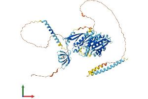 AlphaFold protein structure predicition of Mouse Recombinant Kif2b Protein, UniprotID Q8C0N1