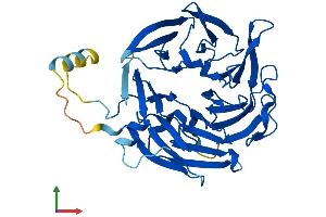 Protein Structure (PS) image for Actin Related Protein 2/3 Complex, Subunit 1A, 41kDa (ARPC1A) (AA 1-370) protein (His tag) (ABIN7556200)