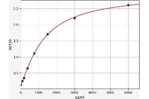 Typical standard curve (CXCL14 ELISA 试剂盒)