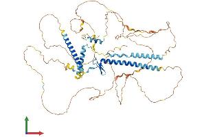 Protein Structure (PS) image for GATA Zinc Finger Domain Containing 2A (GATAD2A) (AA 1-629) protein (His tag) (ABIN7559351)