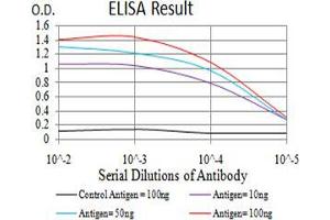 Black line: Control Antigen (100 ng);Purple line: Antigen (10ng); Blue line: Antigen (50 ng); Red line:Antigen (100 ng) (Selenoprotein S 抗体  (AA 1-187))