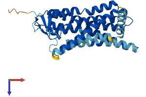 Olfactory Receptor, Family 10, Subfamily A, Member 5 (OR10A5) (AA 1-317) protein (His tag)