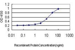Detection limit for recombinant GST tagged GREM1 is approximately 0. (GREM1 抗体  (AA 75-184))