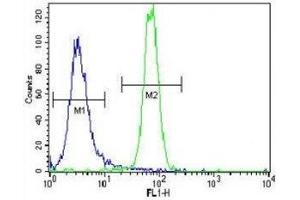 Parkin antibody flow cytometric analysis of NCI-H460 cells (right histogram) compared to a negative control (left histogram). (Parkin 抗体  (AA 111-140))