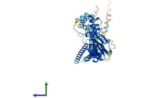 AlphaFold protein structure predicition of Mouse Recombinant Asic5 Protein, UniprotID Q9R0Y1