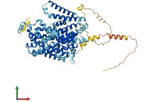 Protein Structure (PS) image for Solute Carrier Family 7 (Cationic Amino Acid Transporter, Y+ System), Member 2 (SLC7A2) (AA 1-658) protein (His tag) (ABIN7553585)
