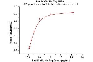 ELISA image for Tumor Necrosis Factor Receptor Superfamily, Member 17 (TNFRSF17) (AA 1-49) (Active) protein (His tag) (ABIN6992383)