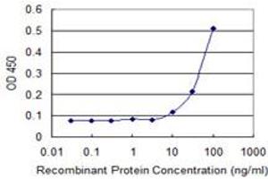 Detection limit for recombinant GST tagged RECQL is 3 ng/ml as a capture antibody. (RecQ Protein-Like (DNA Helicase Q1-Like) (RECQL) (AA 549-648) 抗体)