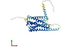 AlphaFold protein structure predicition of Human Recombinant GPR21 Protein, UniprotID Q99679