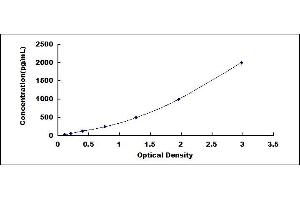 Typical standard curve (CELA1 ELISA 试剂盒)