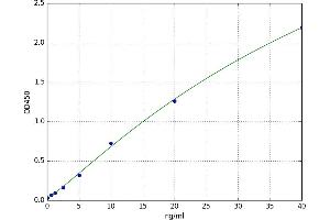 Butyrylcholinesterase (BCHE) ELISA Kit