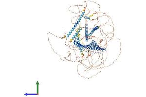Protein Structure (PS) image for Centromere Protein J (CENPJ) (AA 1-1344) protein (His tag) (ABIN7563793)