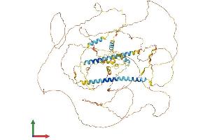 Protein Structure (PS) image for Dapper, Antagonist of beta-Catenin, Homolog 1 (DACT1) (AA 1-836) protein (His tag) (ABIN7553630)