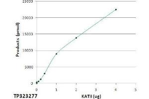 Activity Assay (AcA) image for Aminoadipate Aminotransferase (AADAT) (Transcript Variant 1) (Active) protein (Myc-DYKDDDDK Tag) (ABIN2714249)