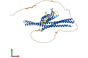 Protein Structure (PS) image for Sorting Nexin 1 (SNX1) (AA 1-522) protein (His tag) (ABIN7555541)