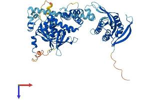 GUCY1B3 Protein (AA 1-620) (His tag)