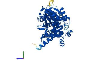 Protein Structure (PS) image for Acetylserotonin O-Methyltransferase (ASMT) (AA 1-345) protein (His tag) (ABIN7552367)