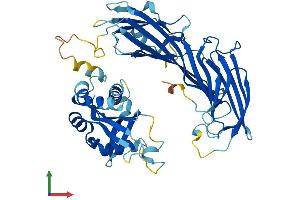 Protein Structure (PS) image for Adaptor-Related Protein Complex 5, mu 1 Subunit (AP5M1) (AA 1-490) protein (His tag) (ABIN7552295)