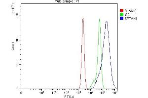 Flow Cytometry analysis of CACO-2 cells using anti-NEAS/SPTAN1 antibody (ABIN7600436).